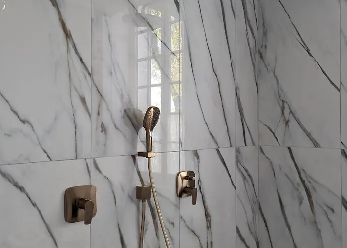 Chateau Haute Roche 3*