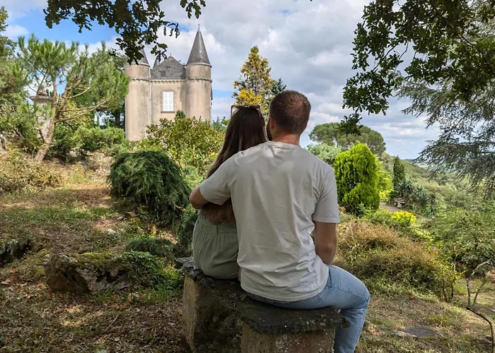 Chateau Haute Roche 3* Oudon